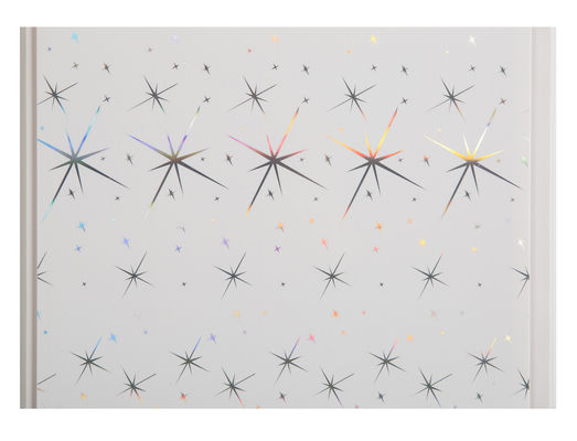 Kinh tế trang trí tấm tường chống thấm nước cho phòng tắm 25cm 30cm chiều rộng