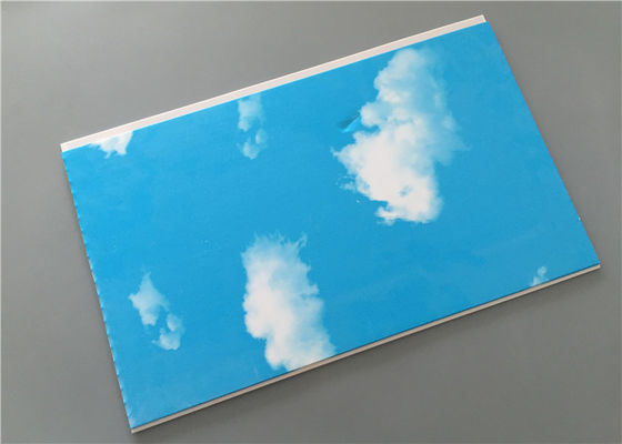 Blue Sky Nhà để xe tổ chức tường Panels, Laminate Wall Panels Đối với phòng tắm