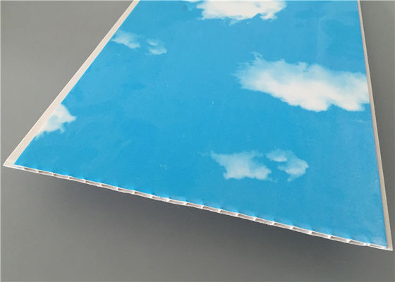 Blue Sky Nhà để xe tổ chức tường Panels, Laminate Wall Panels Đối với phòng tắm
