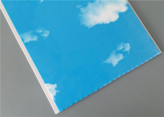 Blue Sky Nhà để xe tổ chức tường Panels, Laminate Wall Panels Đối với phòng tắm